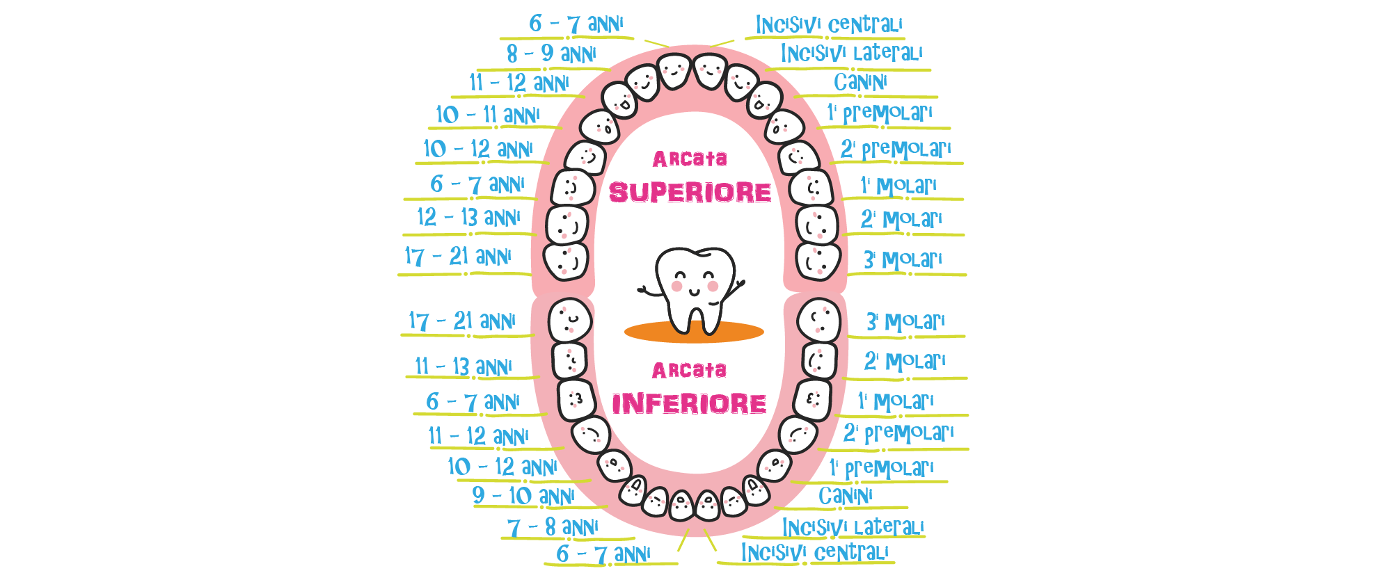 Quando cadono i denti da latte